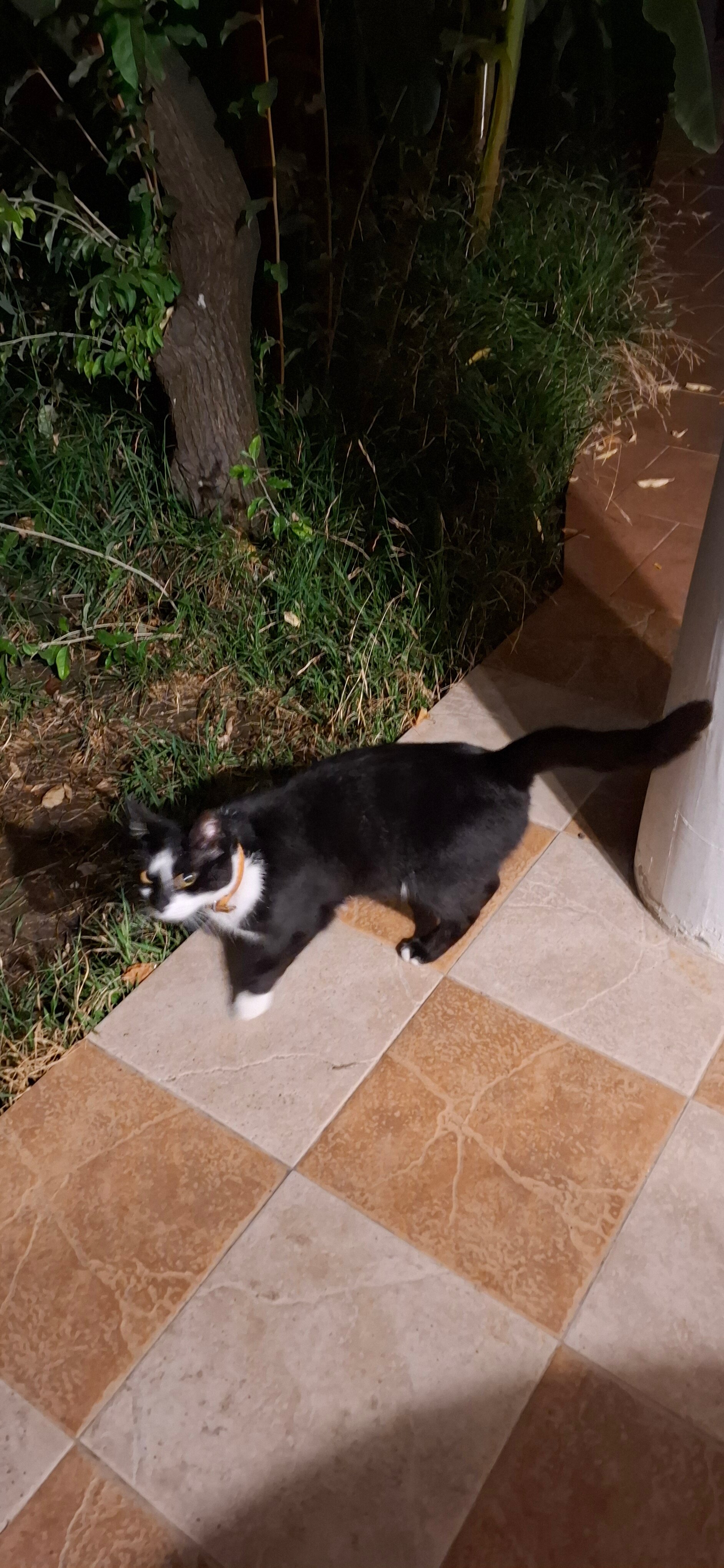 Фото Шато Жюли