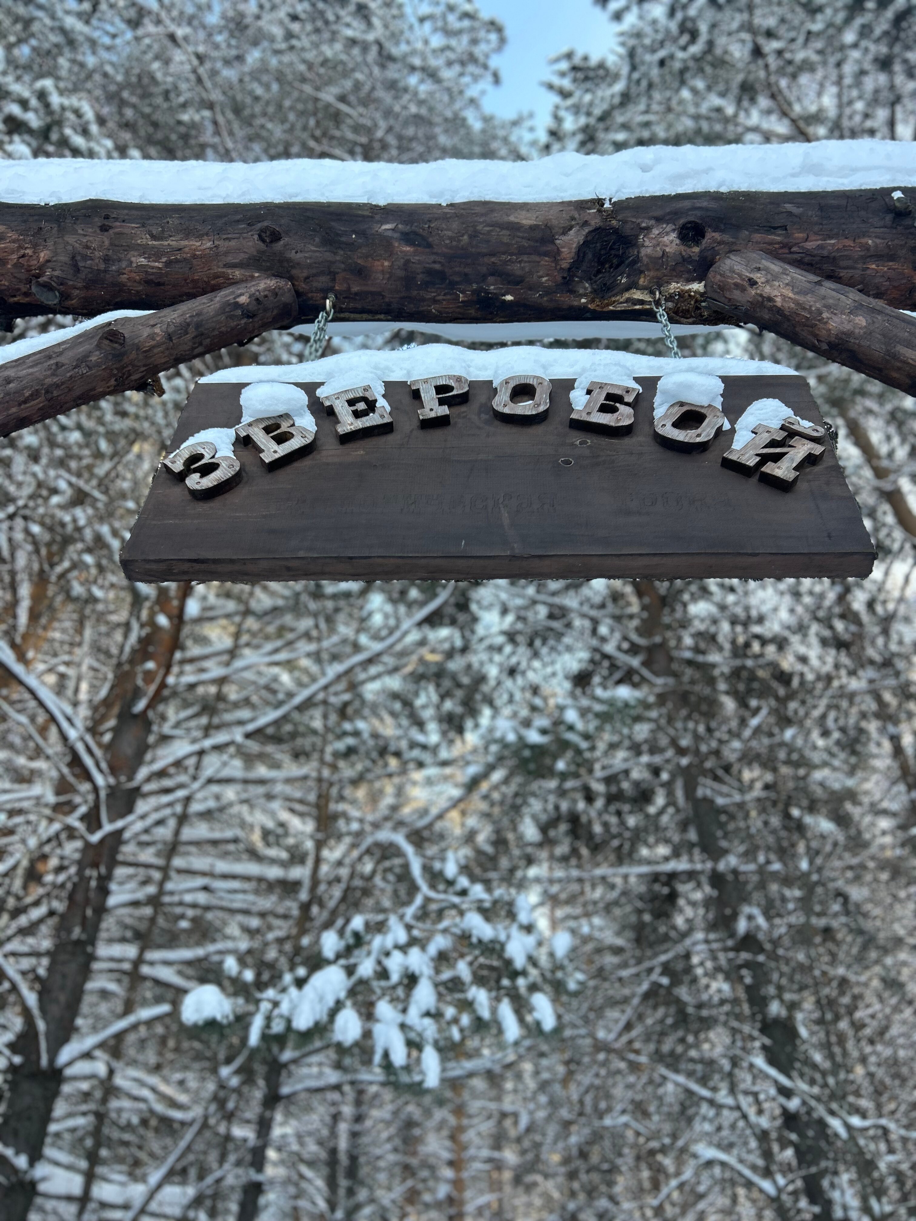 Фото Глэмпинг Стрекоза