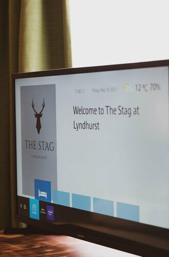 Гостиница The Stag Hotel в Линдхерсте