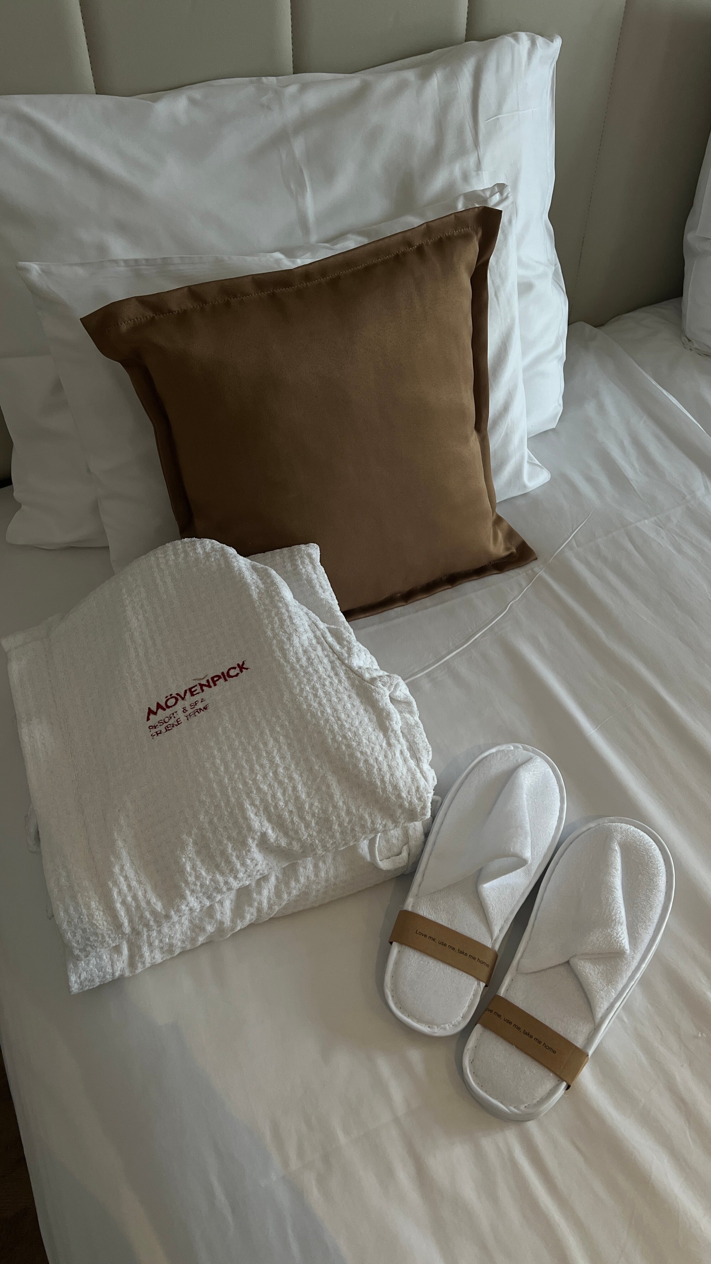 Фото Mövenpick Resort and SPA Fruske Terme