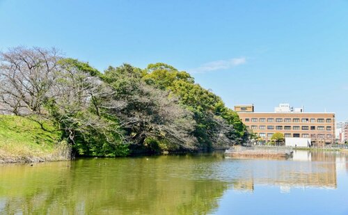 Гостиница Golden Guest House Hakata - Hostel в Фукуоке