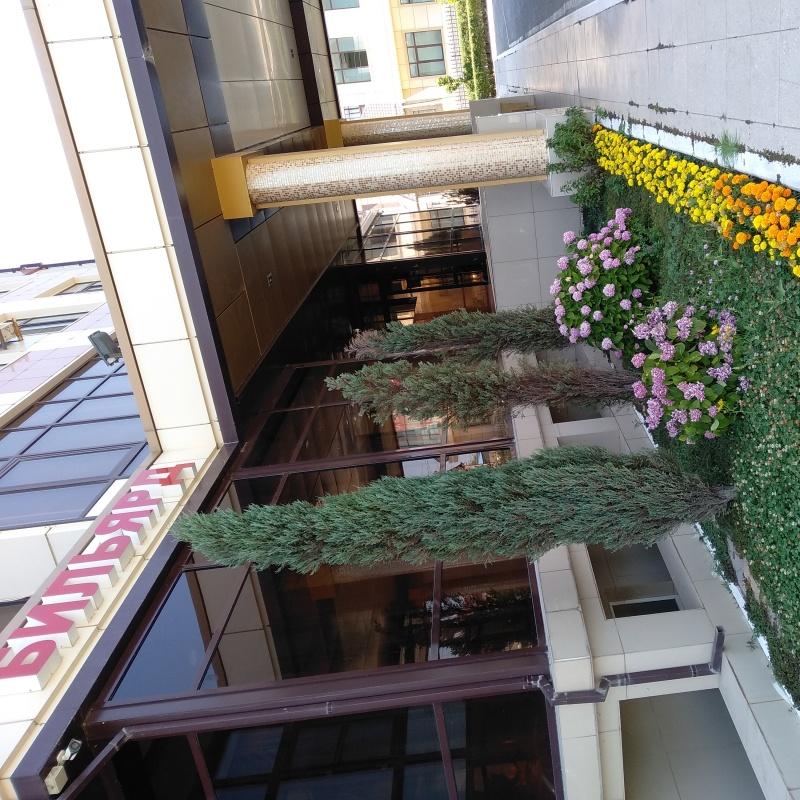 Фото Адмирал