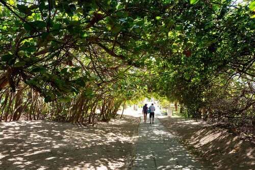 Гостиница Starfish Varadero в Варадеро