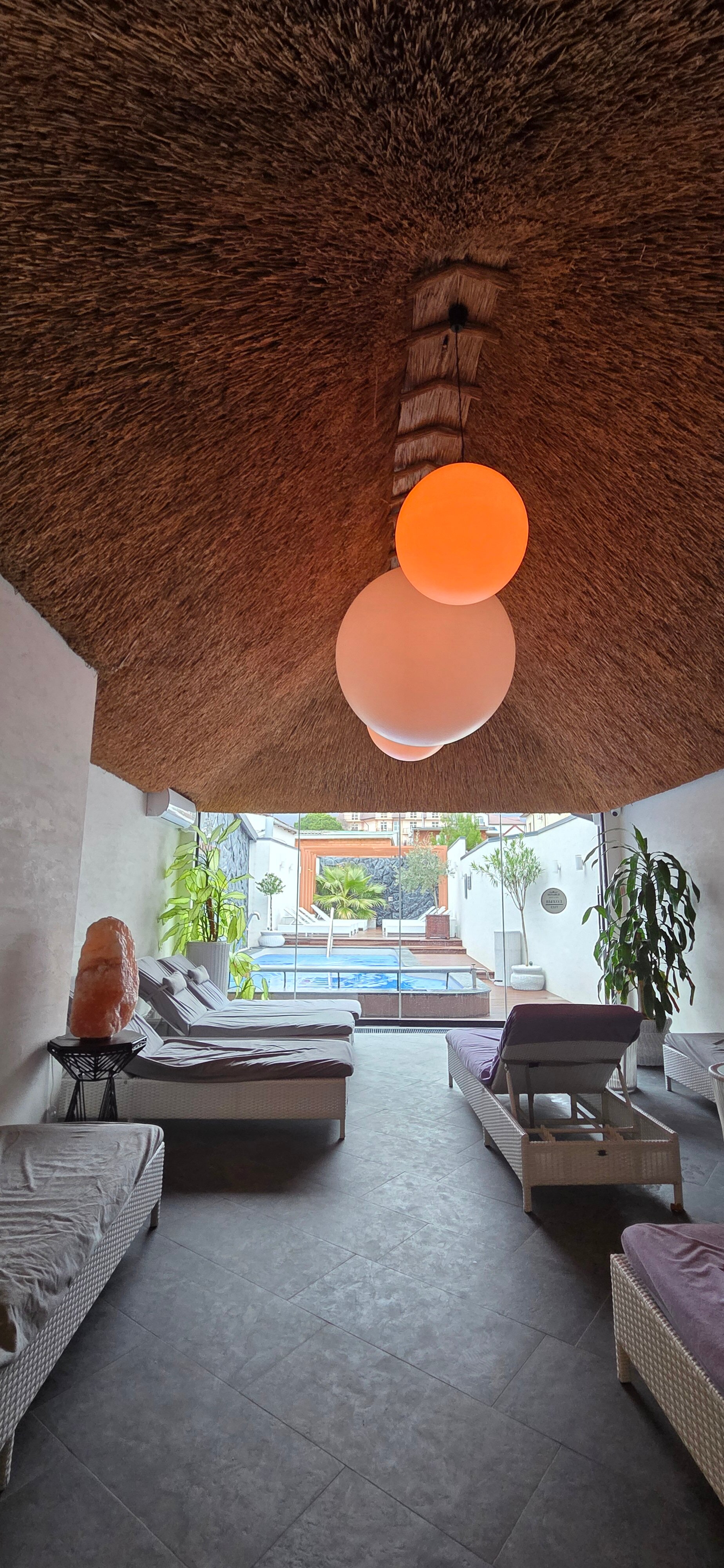 Фото Монарх