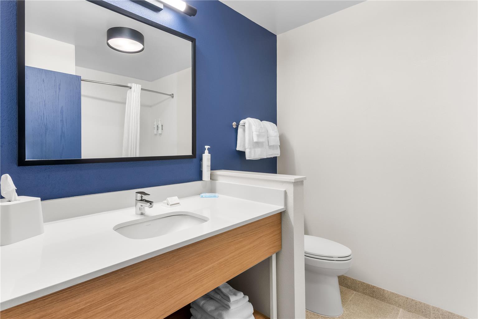 Фото Comfort Inn & Suites Dothan East