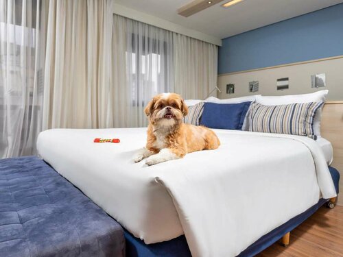 Гостиница Mercure Sao Paulo Pamplona в Штате Сан-Паулу