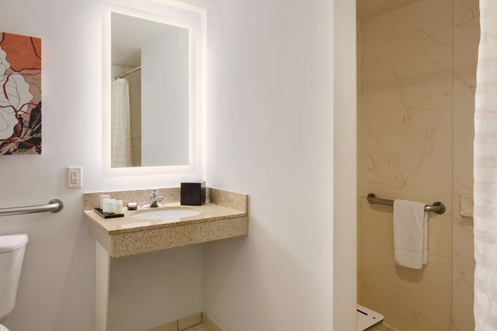 Фото Embassy Suites by Hilton Denver International Airport