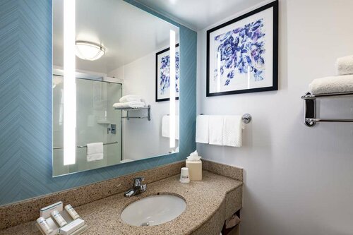 Гостиница Hilton Garden Inn O'Hare в Де Плейнс