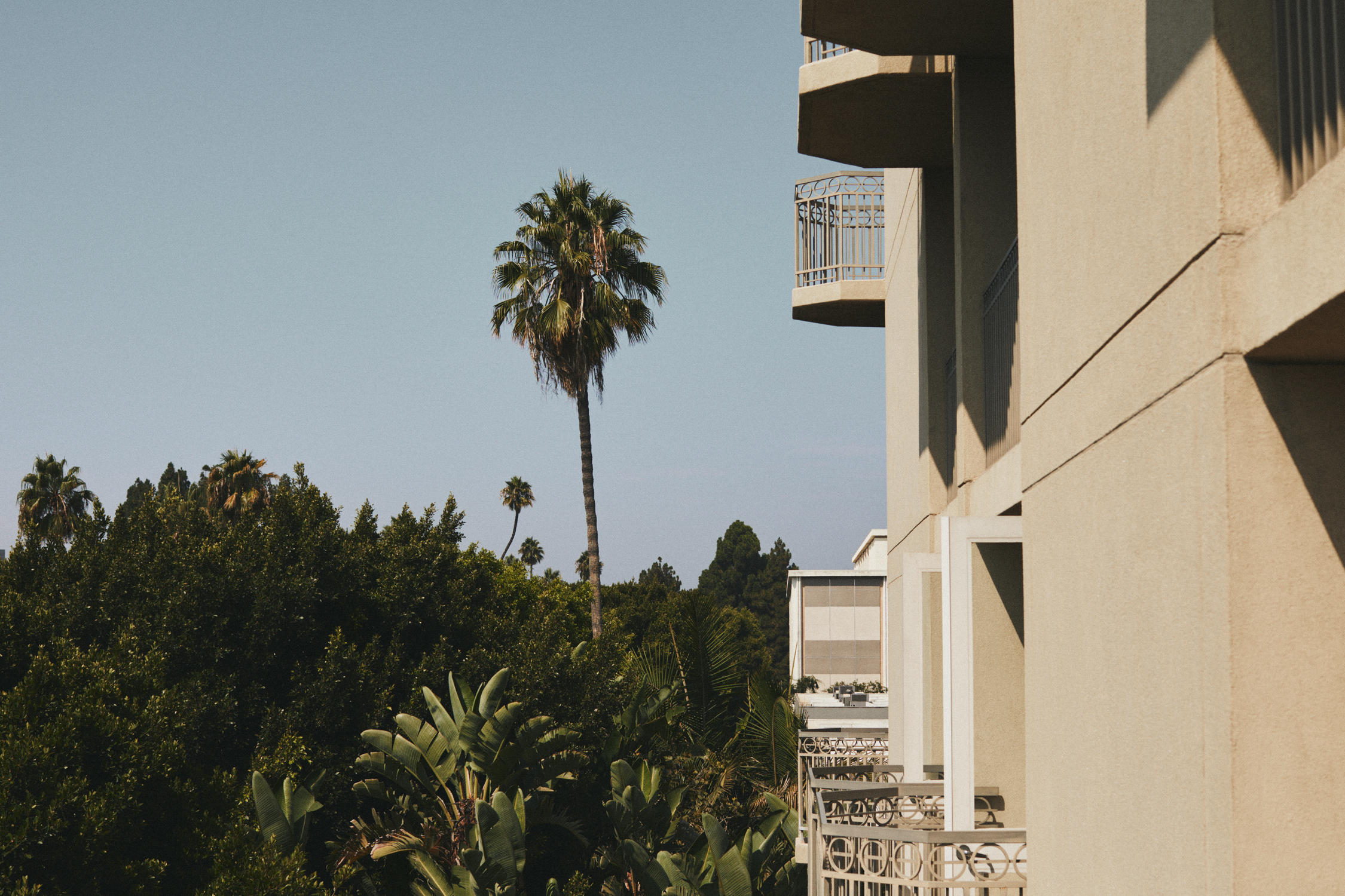 Фото L'Ermitage Beverly Hills