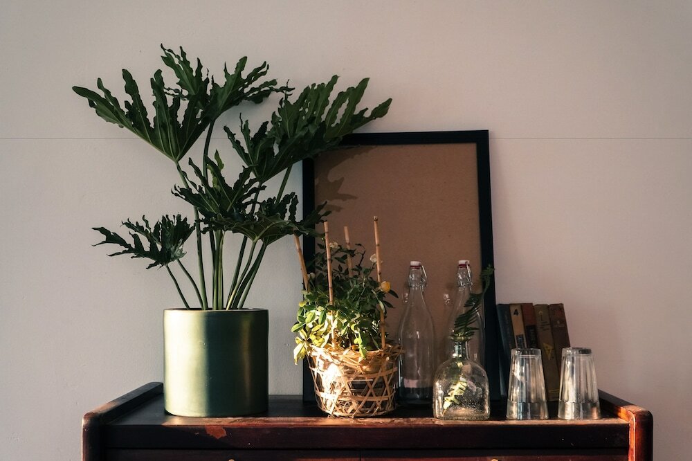 Фото City Hostel Da Nang