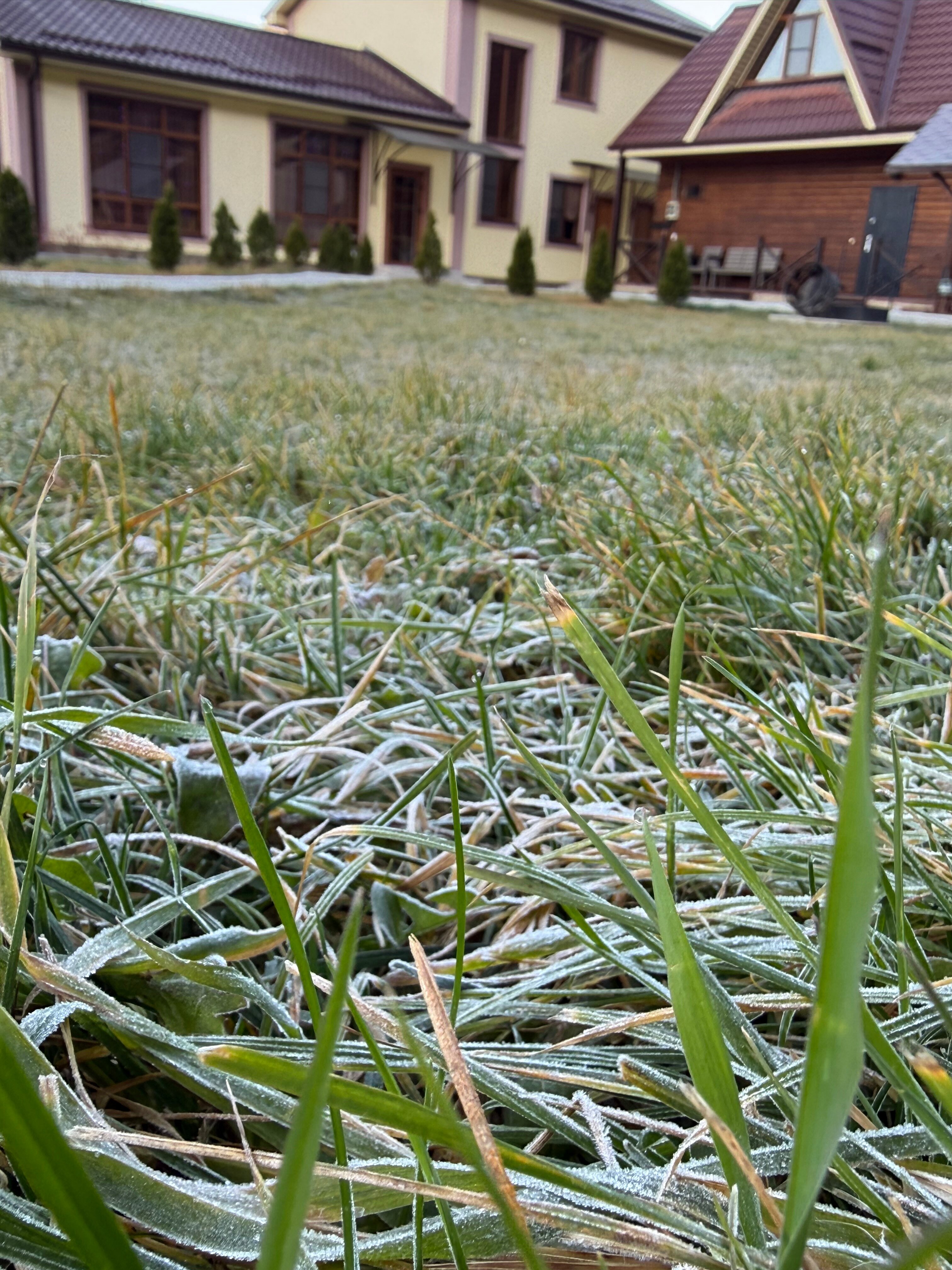 Фото Даховское поместье