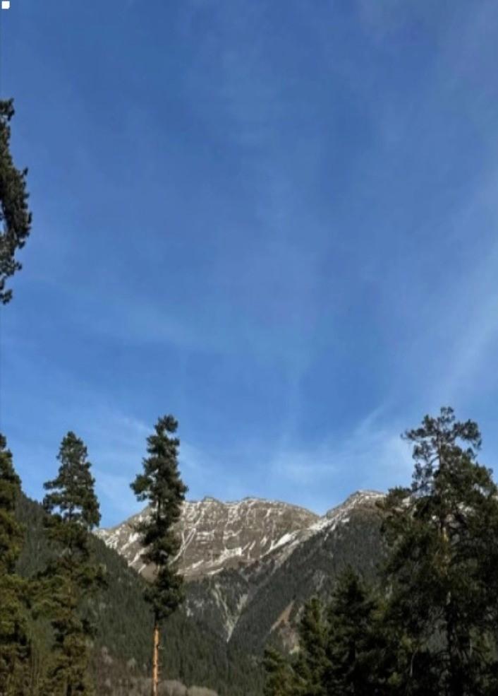 Фото Релайф