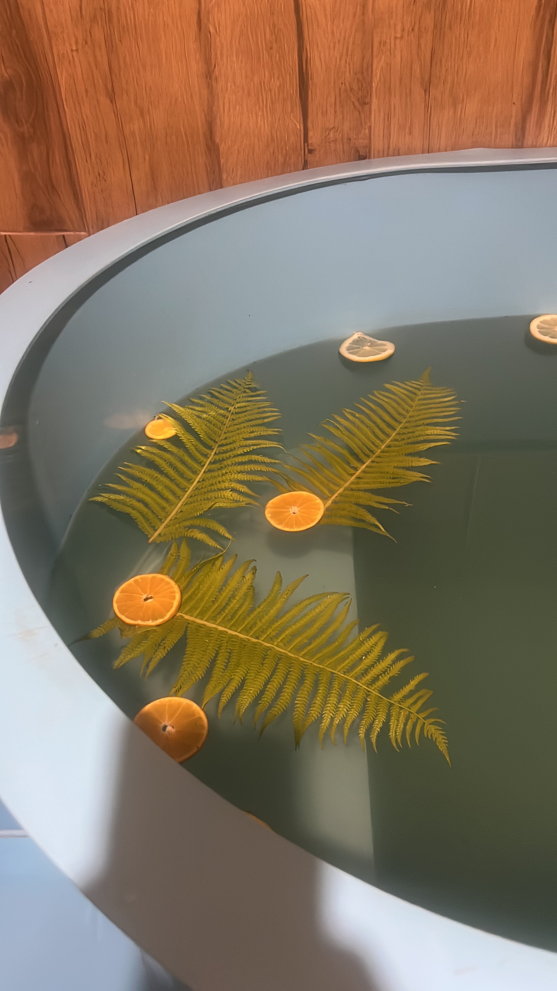 Фото Дом Дзен