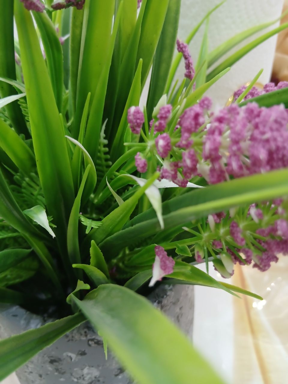 Фото Гостиница Rakat Plaza