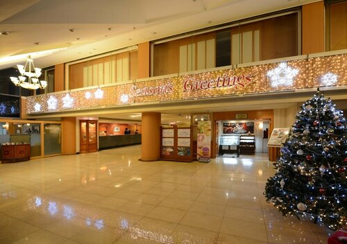 Гостиница Onyang Hot Spring Hotel в Асане