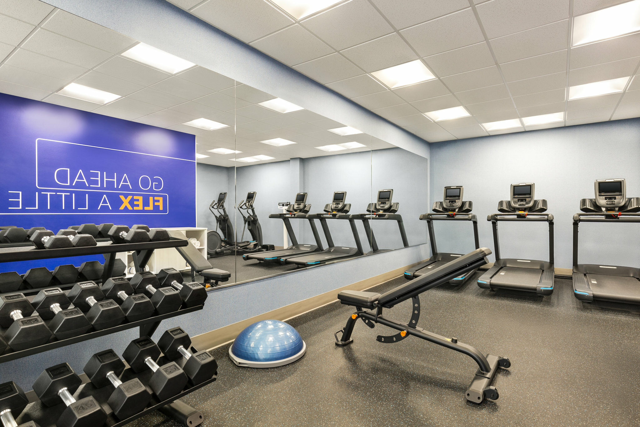 Фото Holiday Inn Express & Suites Tuscaloosa-University, an Ihg Hotel
