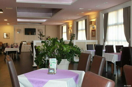 Гостиница Art Hotel в Славонски-Броде