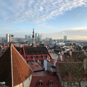 Kohtuotsa Vaateplatvorm (Tallinn, Kohtu street, 10), observation deck
