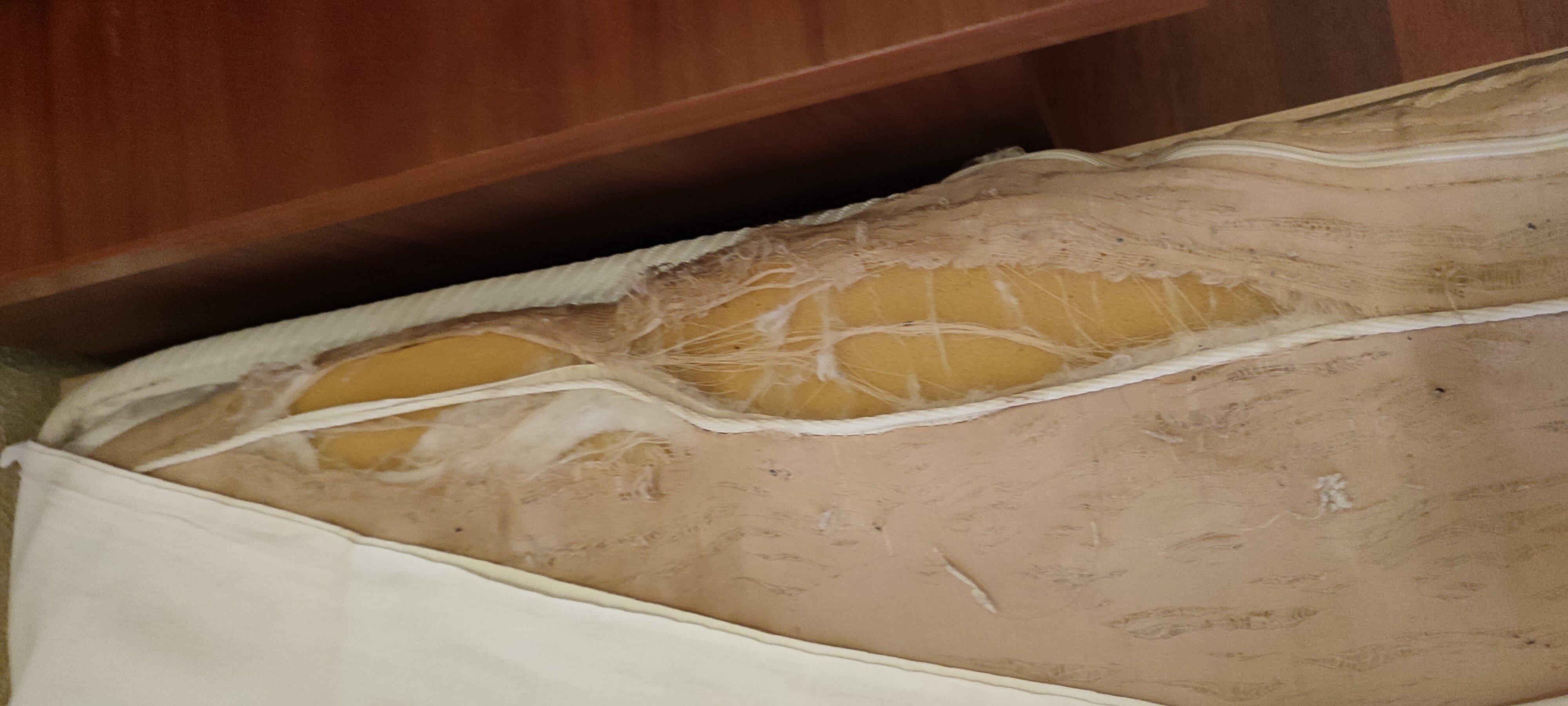 Фото Пафос у Кремля