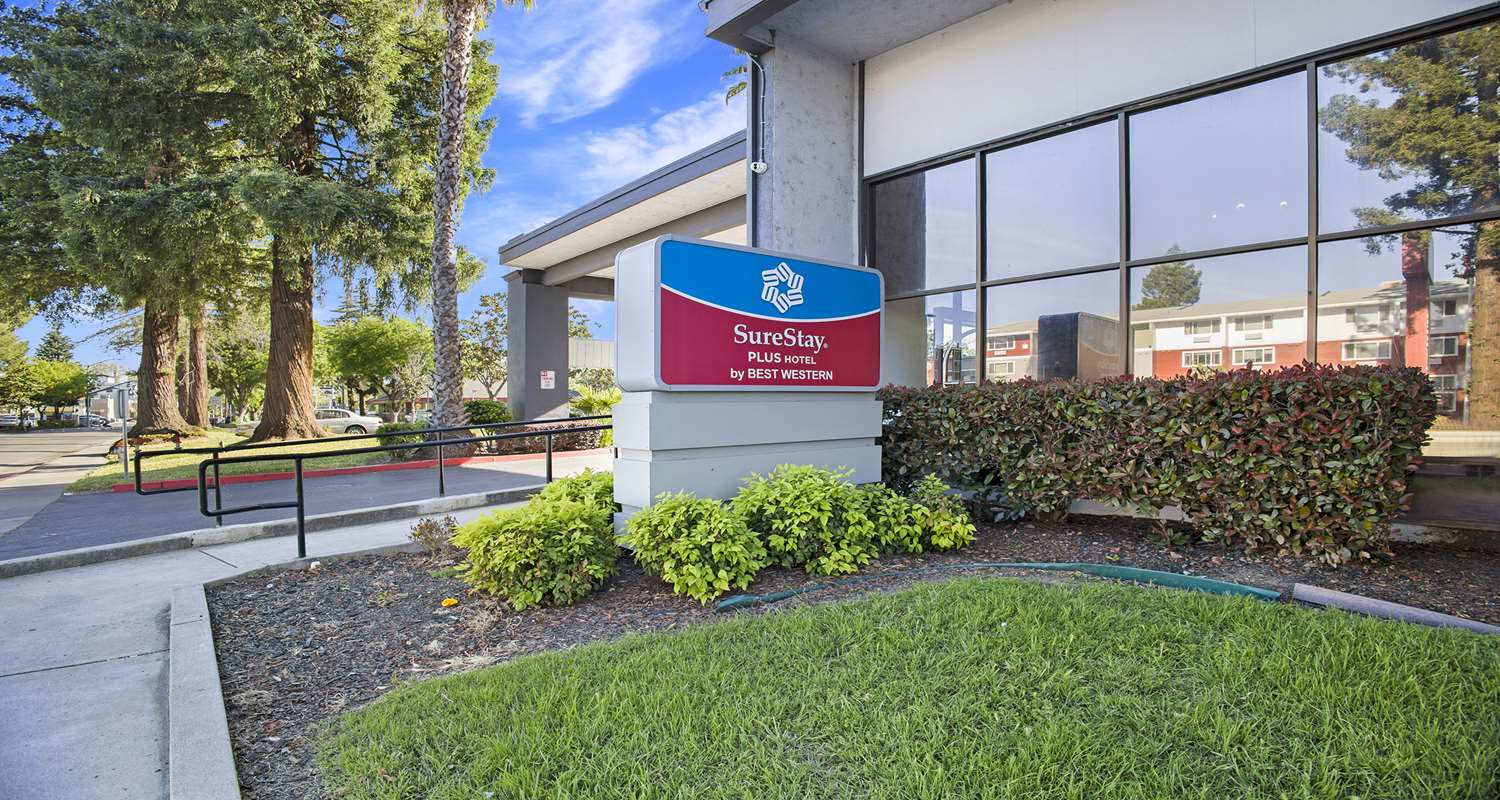 Фото SureStay Plus Hotel by Best Western Sacramento North