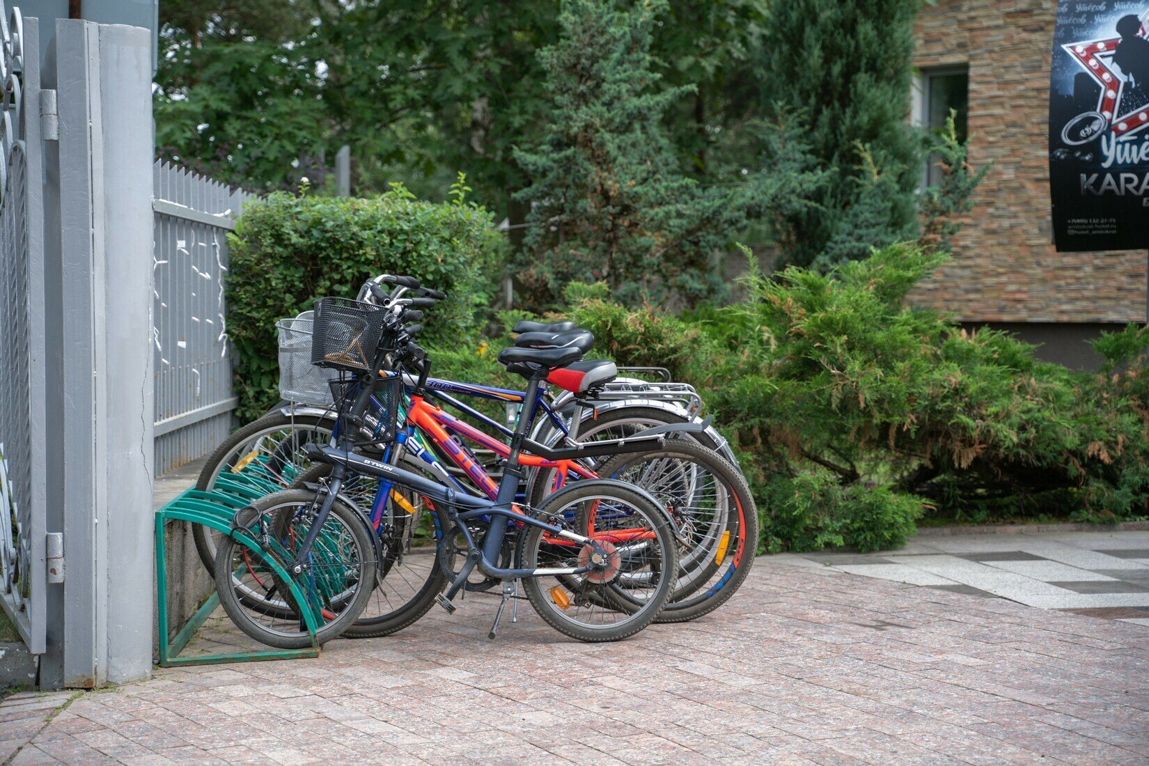 Фото Аристократ