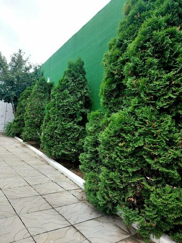 Дом в аренду Ялта в Перми