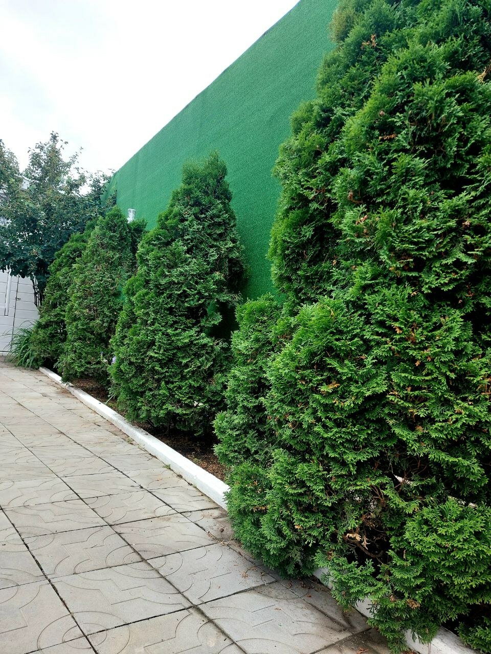 Фото Гостевой дом Ялта