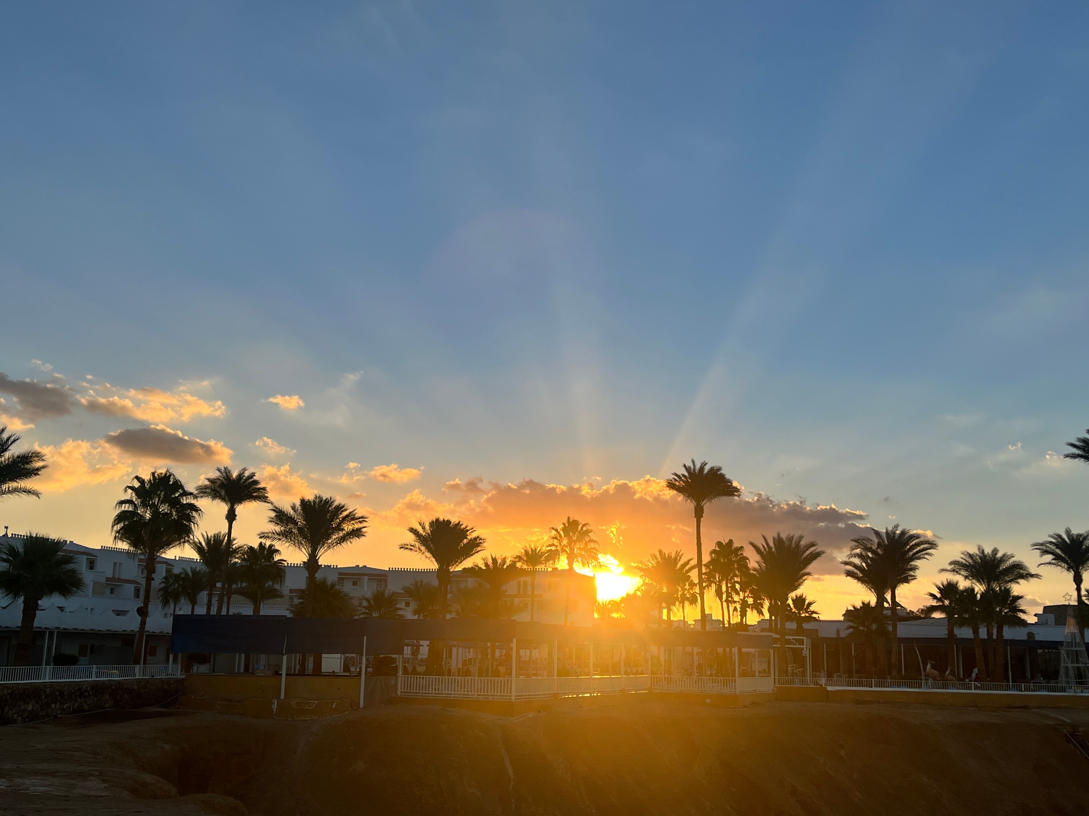 Фото Albatros Sharm Resort