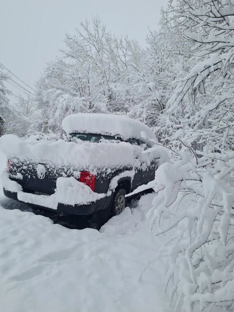 Фото Гостевой дом Лисы