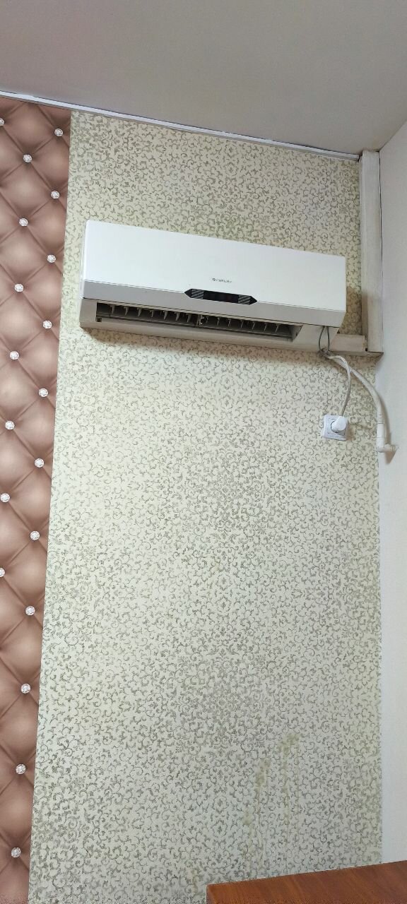 Фото Золотой Дракон