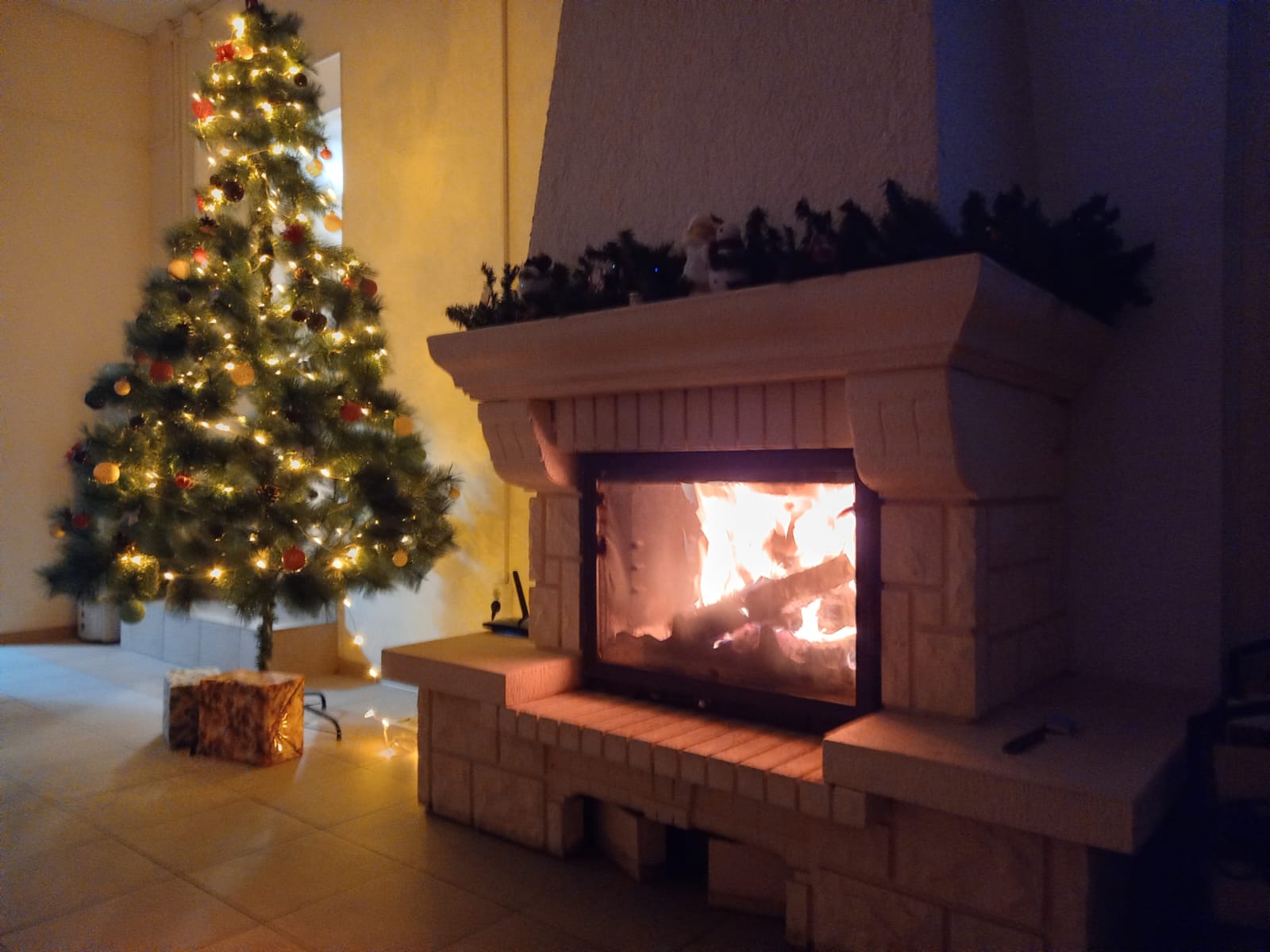 Фото Kodi järvi