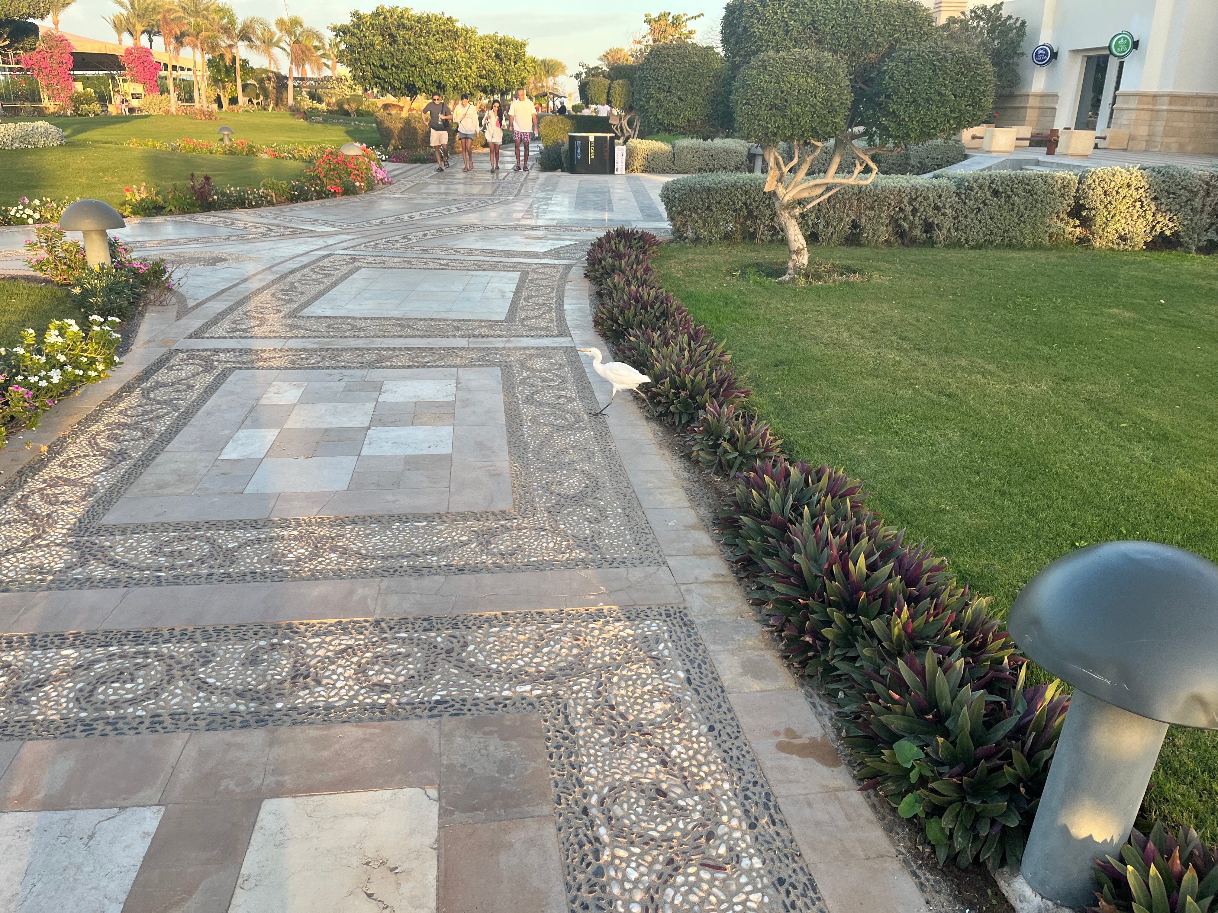 Фото Movenpick Waterpark Resort & SPA Soma Bay