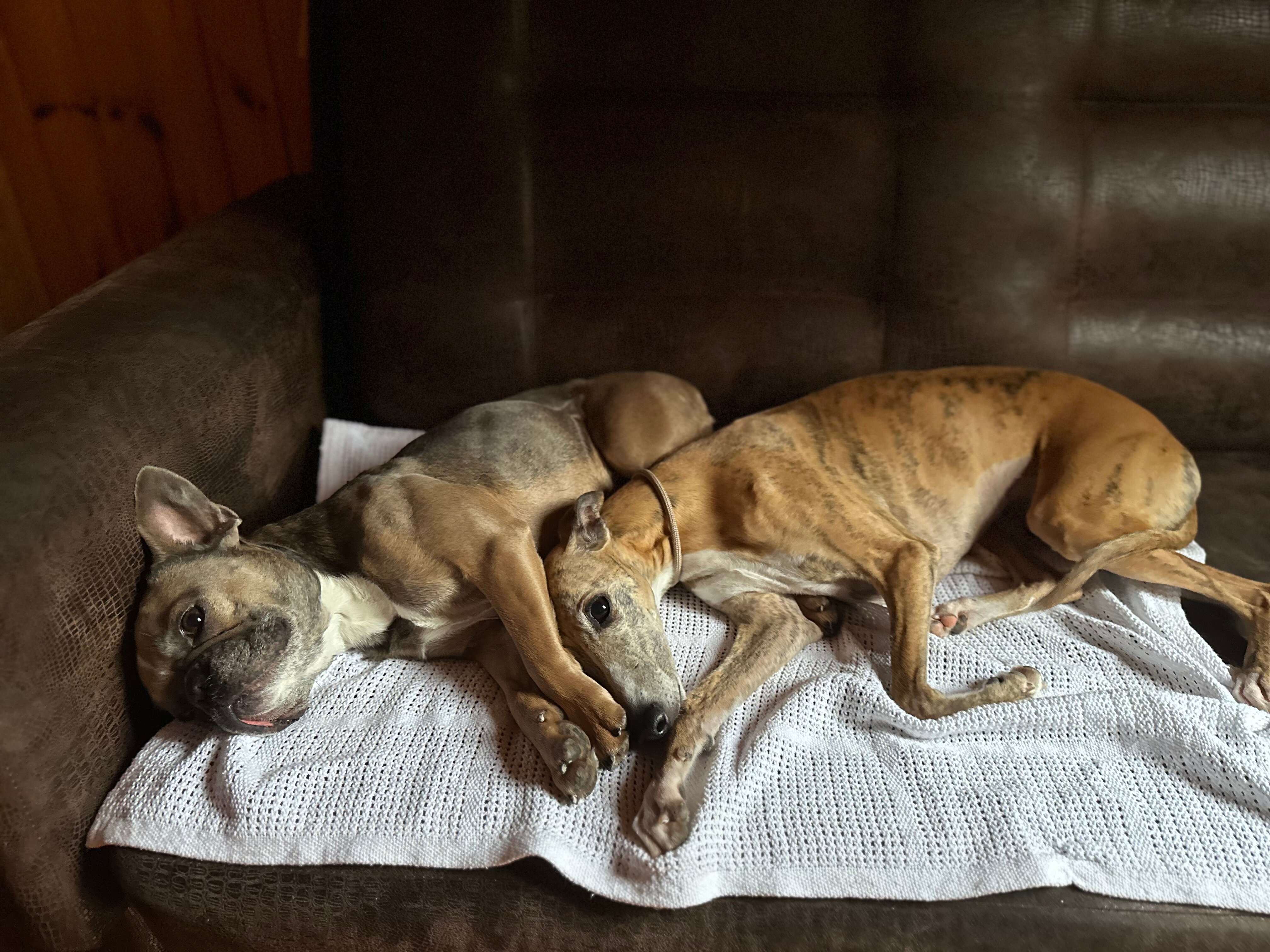 Фото Охотник и рыболов