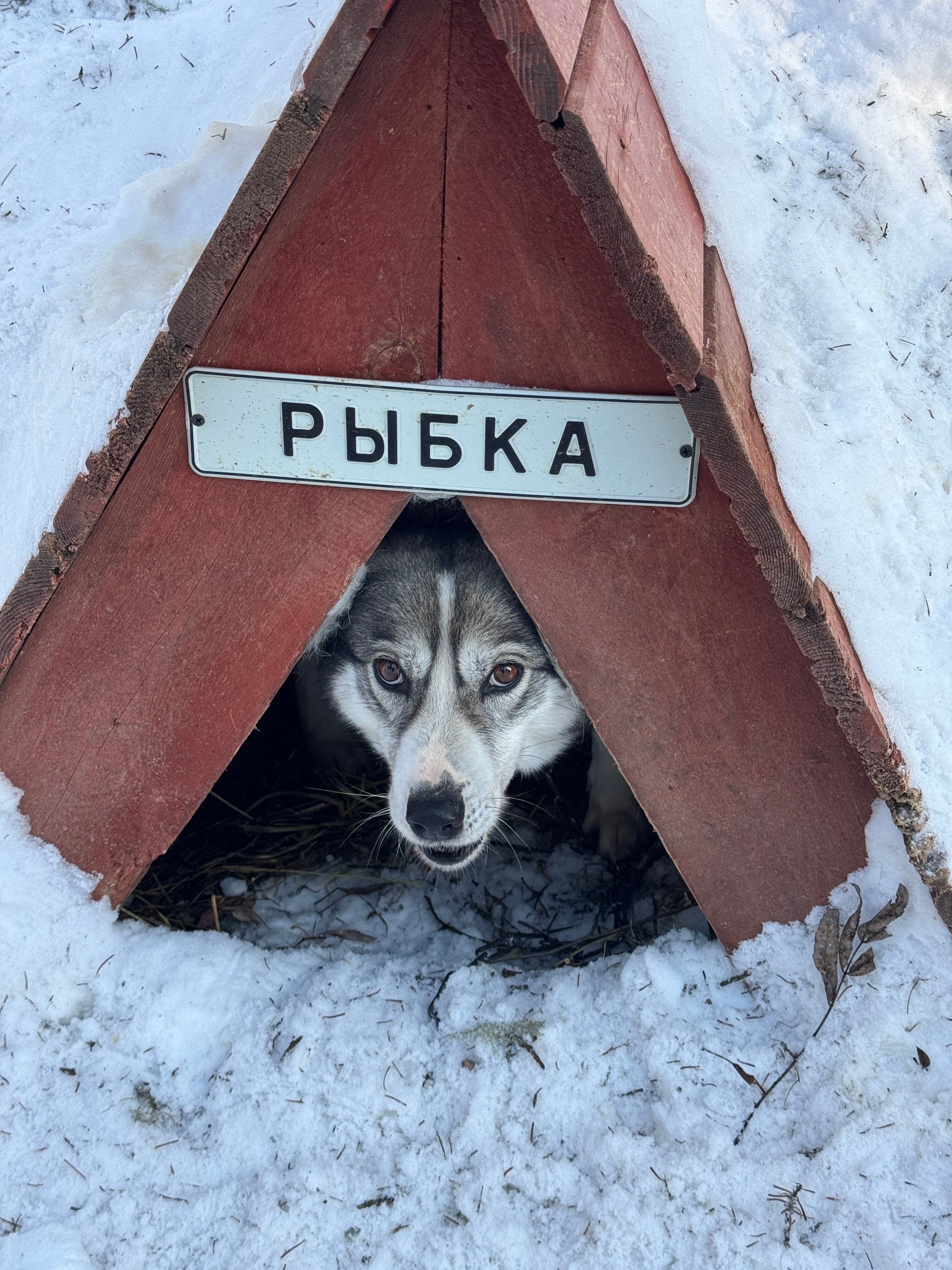 Фото Тетрис