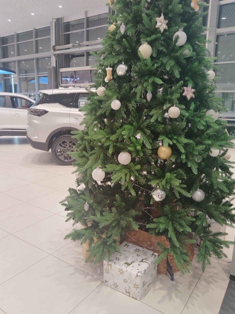photo Tenet РОЛЬФ Лахта