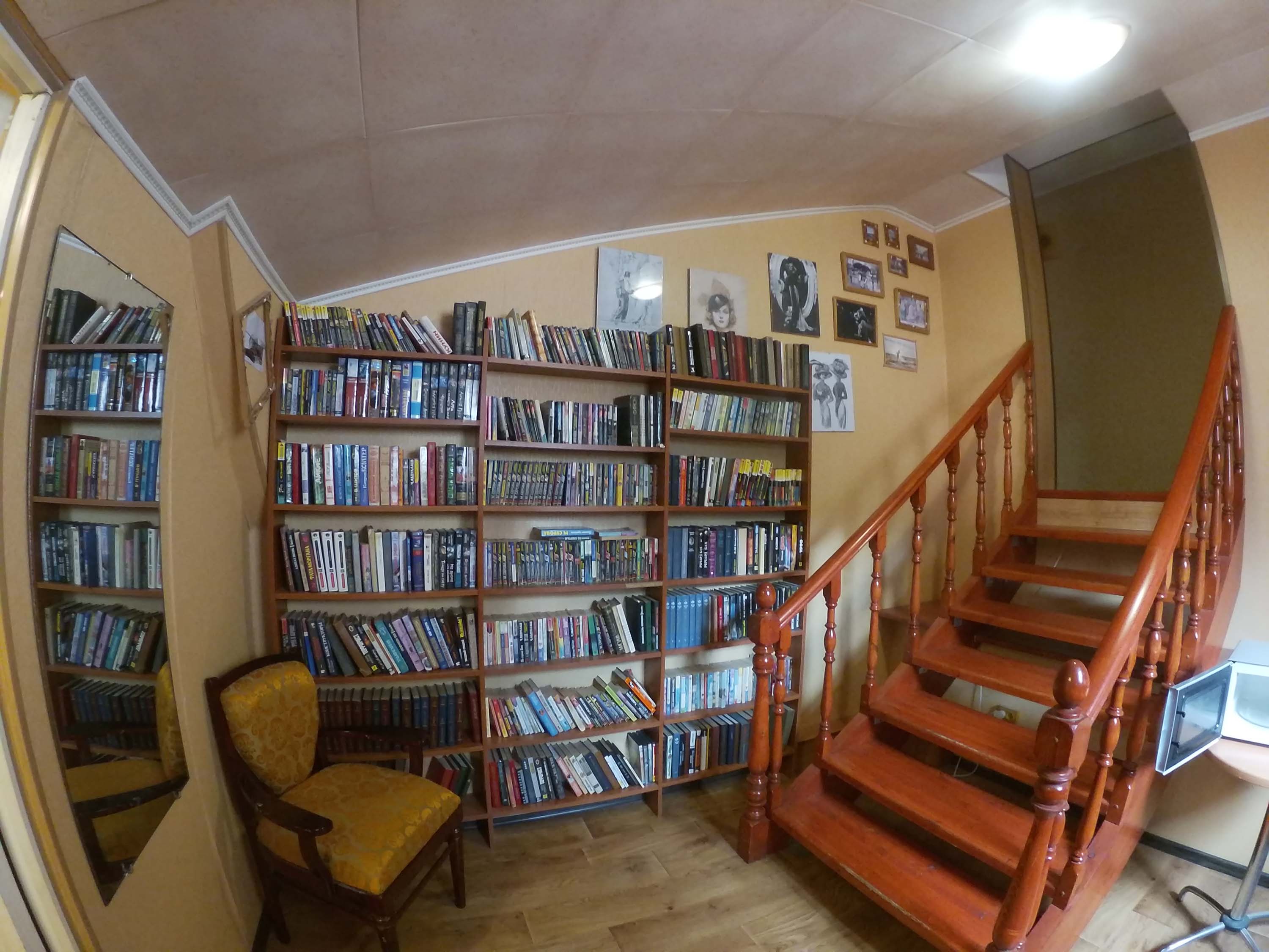 Фото Сосны
