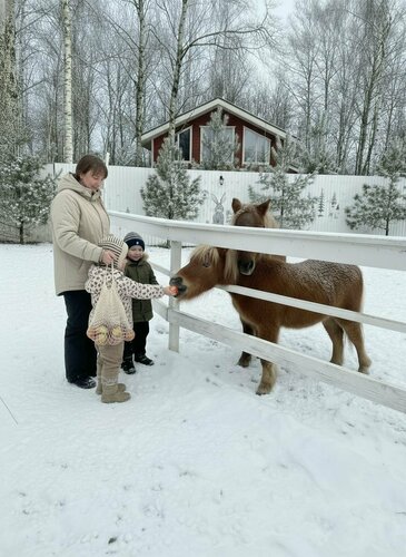 Дом в аренду Сканди хаус в Клину
