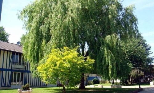 Гостиница Les Willows в Витри-ле-Франсуа