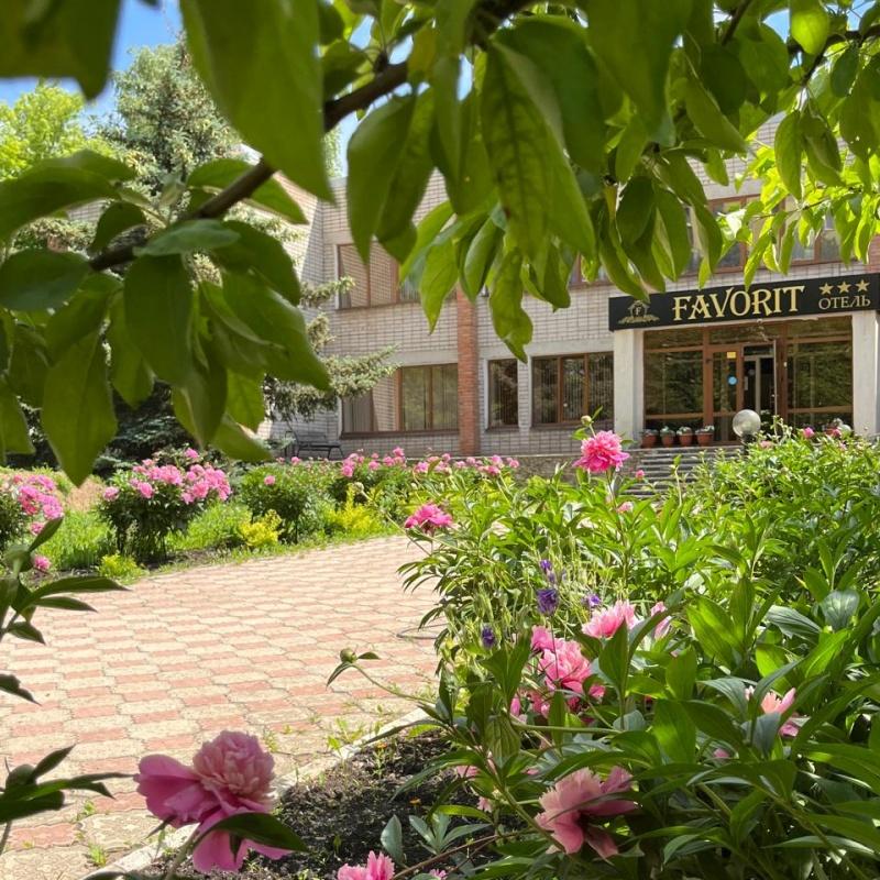 Фото Фаворит