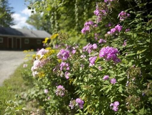 Гостиница Sunset Motor Inn в Штате Нью-Гэмпшир