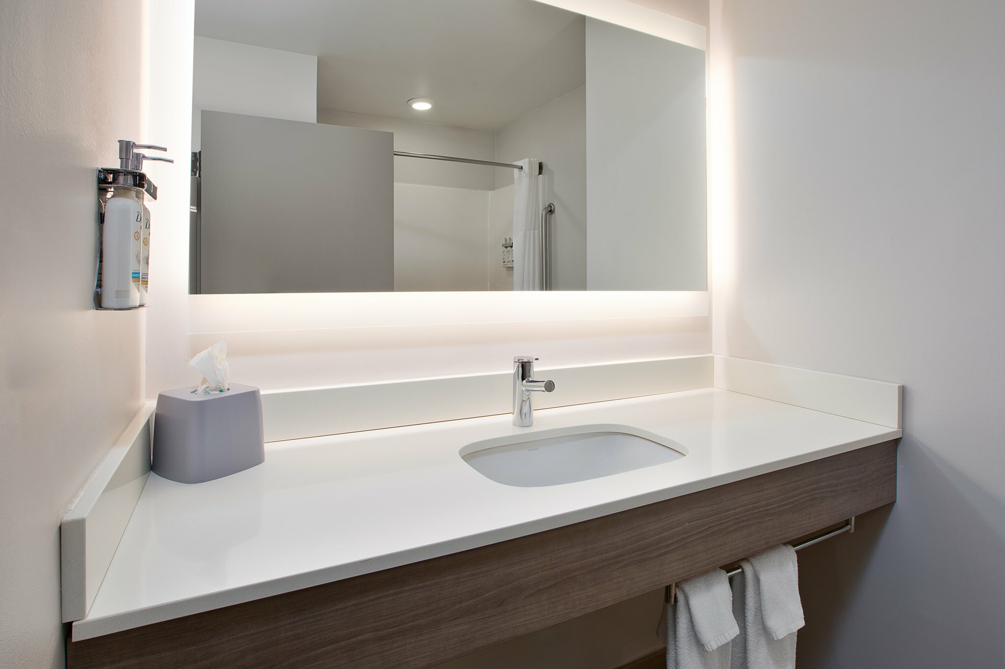 Фото Holiday Inn Express Hotel & Suites Grand Rapids-North, an Ihg Hotel