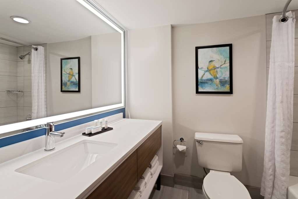 Фото Embassy Suites by Hilton Tampa Usf Near Busch Gardens