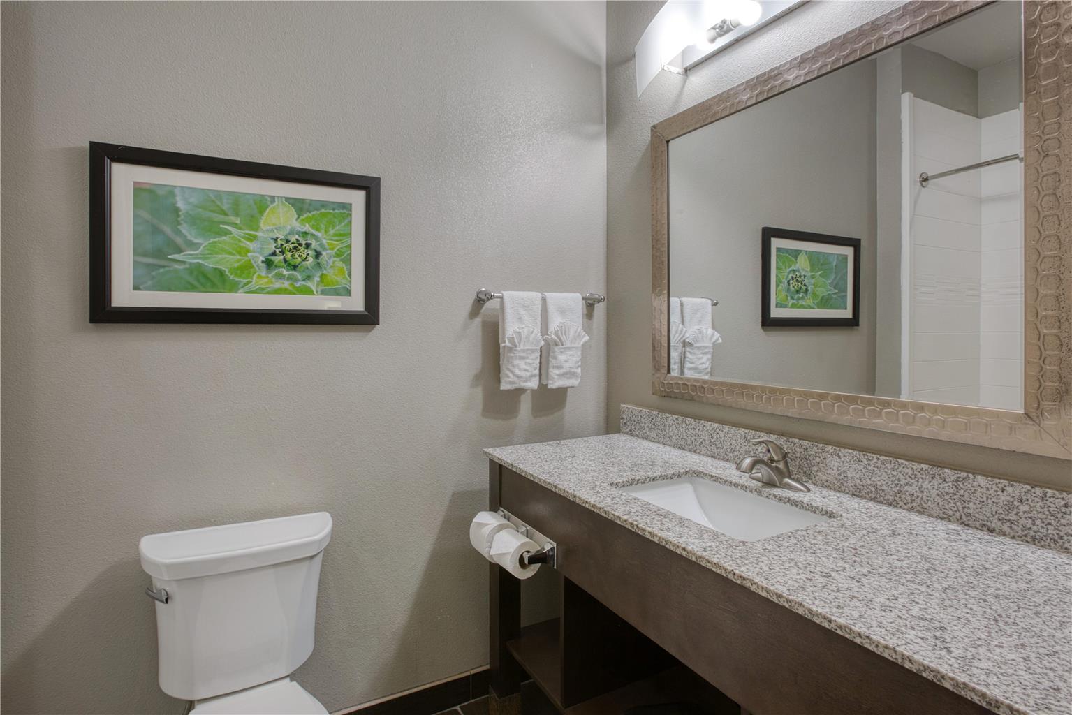 Фото Best Western Plus Tech Medical Center Inn