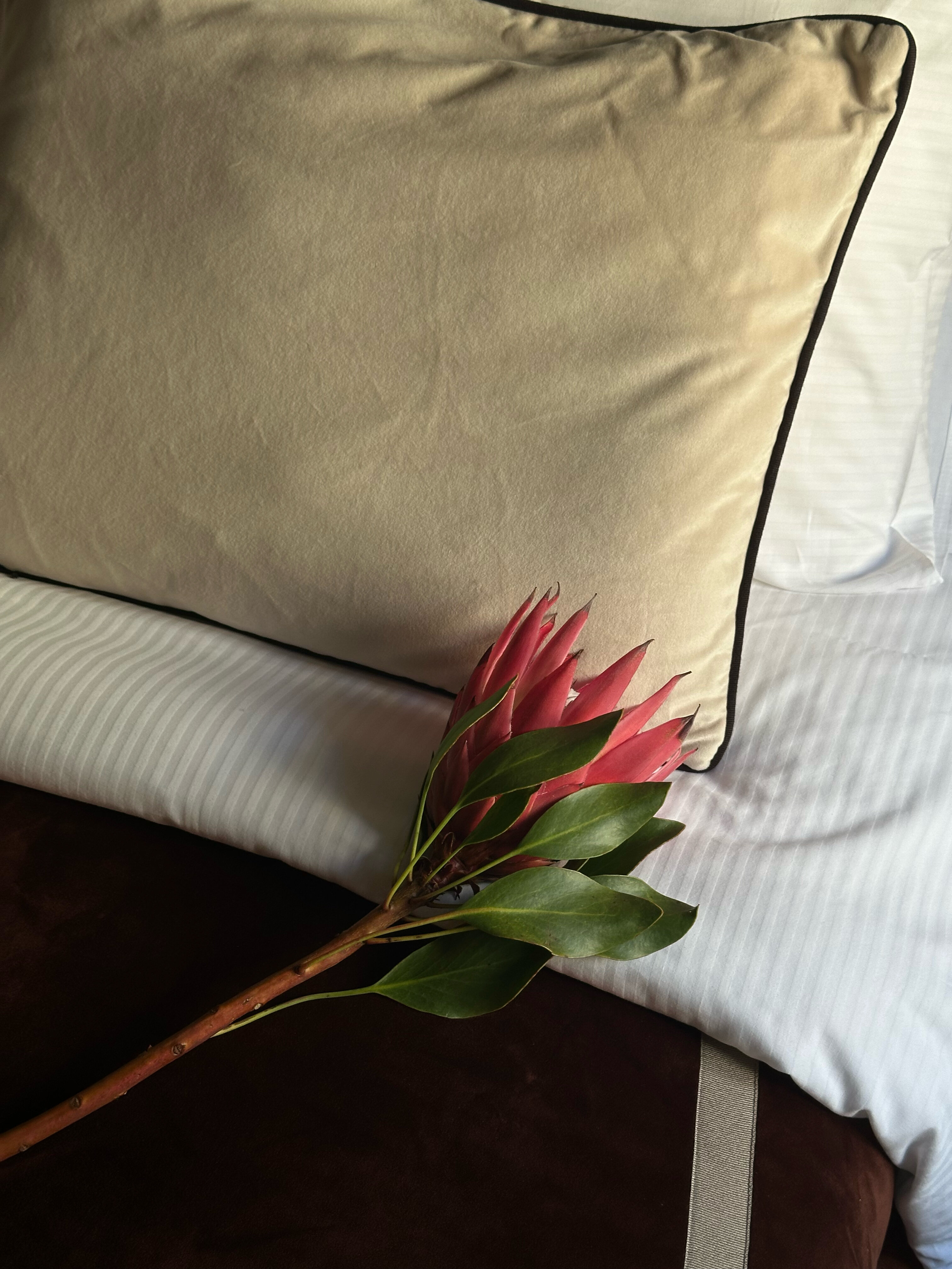 Фото Twelve Reasons