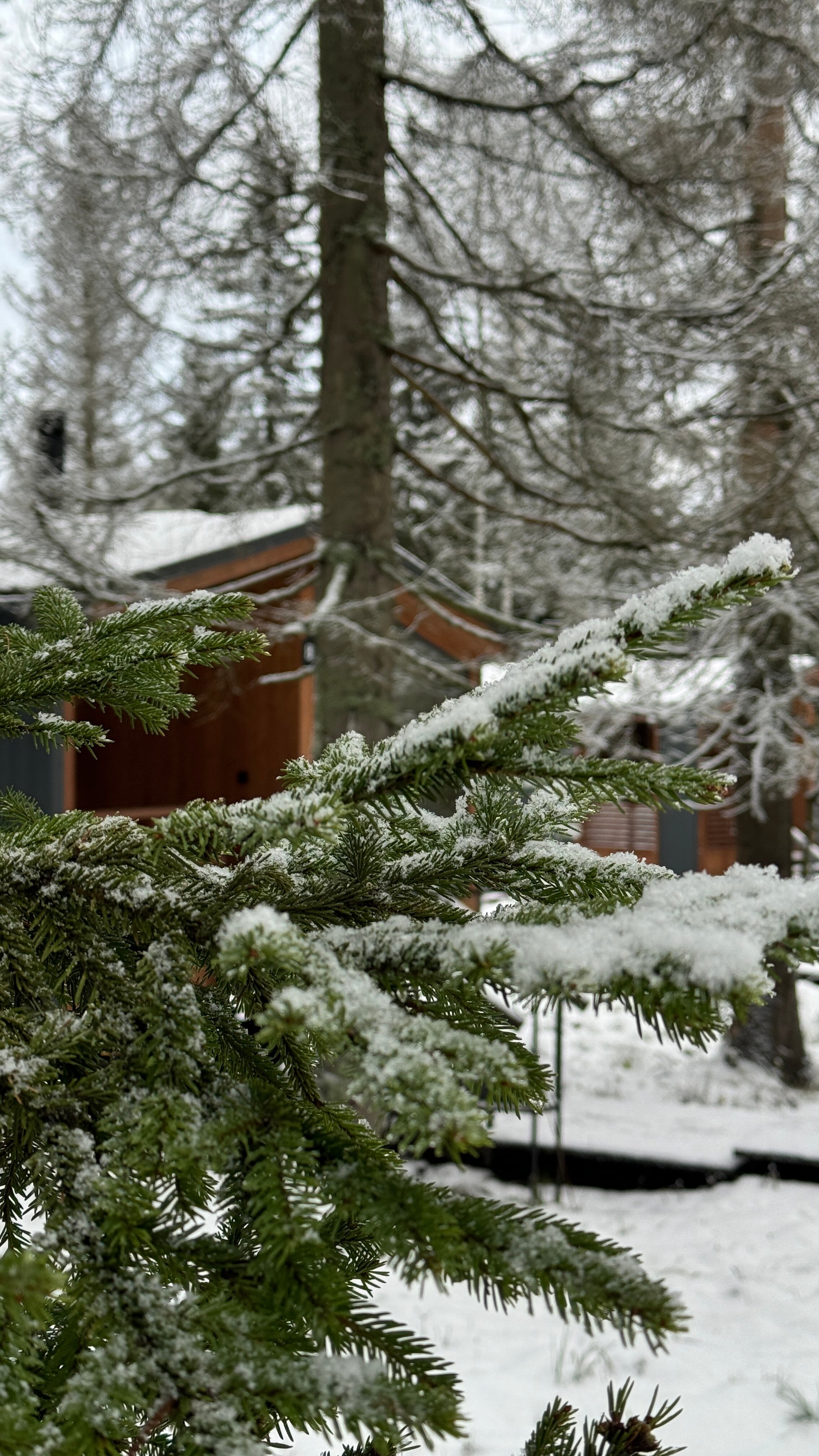 Фото Klever House, Стеклянный Ручей