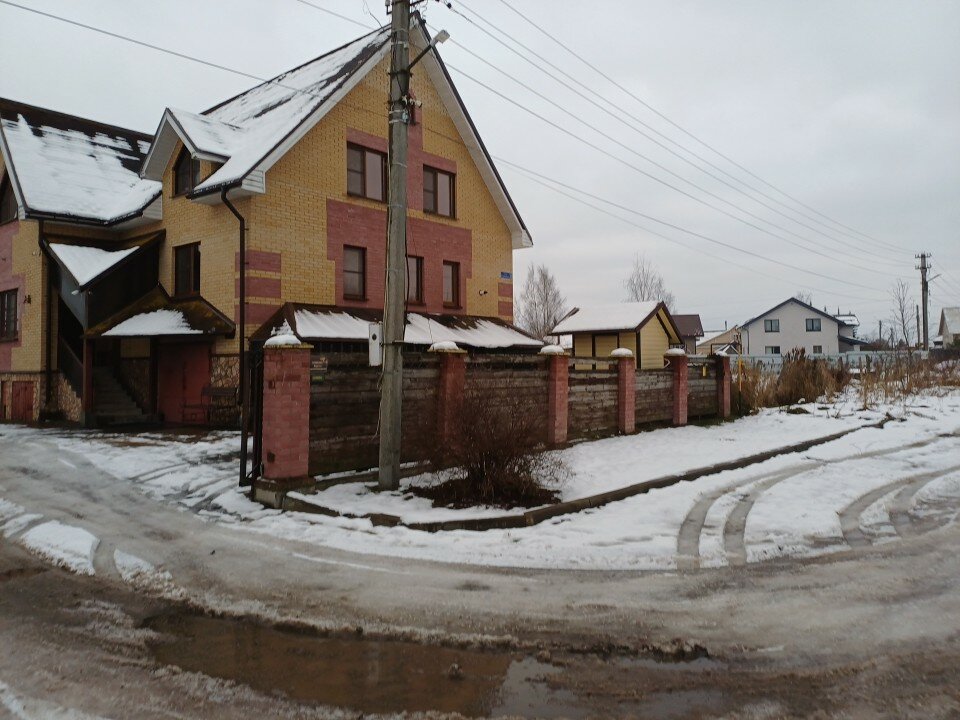 Фото Три клена