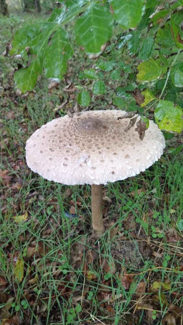 Фото Поляна Убинская