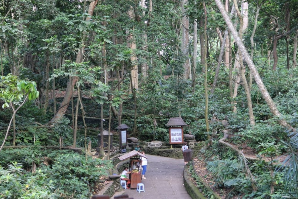 Фото Anumana Ubud Bali