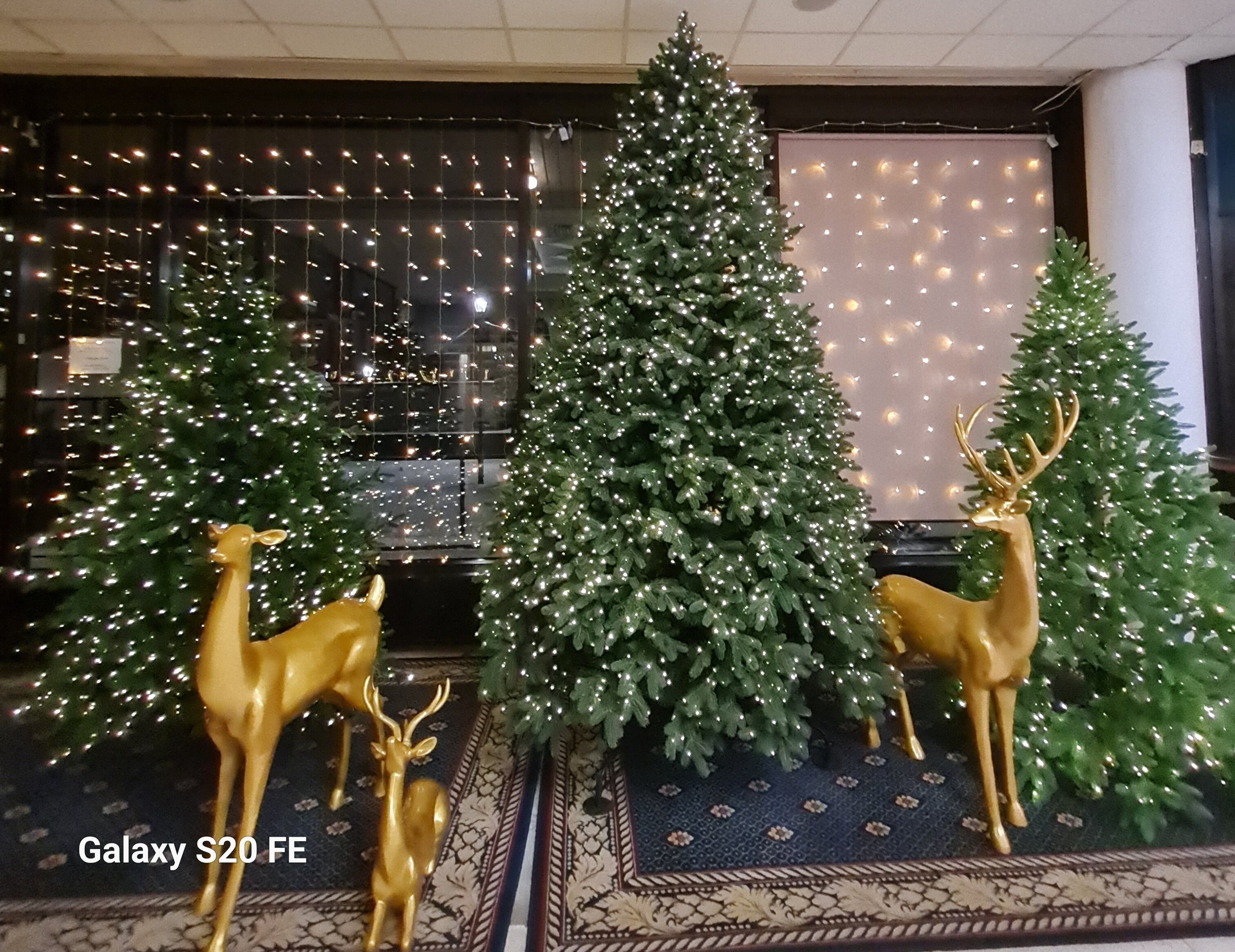 Фото Дружба