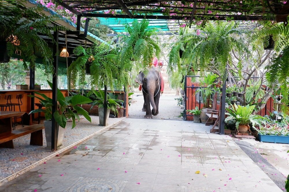 Фото The Park Ayutthaya Resort and SPA